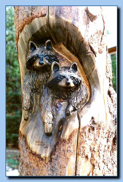 2-10 raccoons carved into tree stump-archive